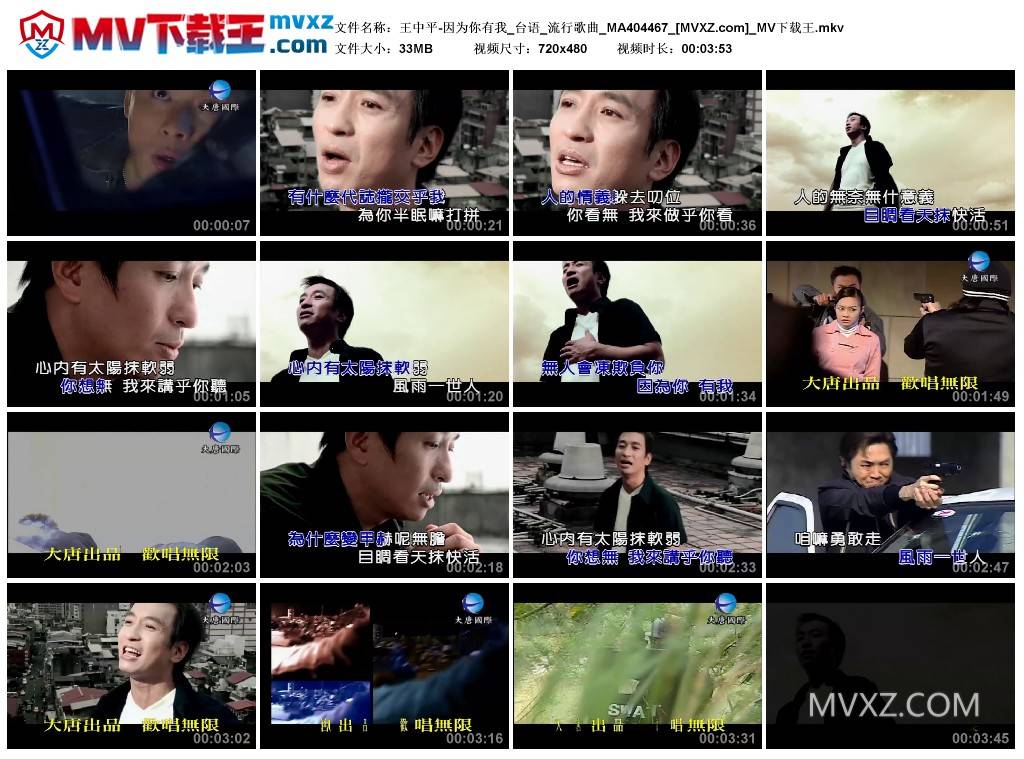 王中平-因为你有我_台语_流行歌曲_MA404467